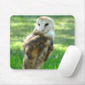 Oh Barn Owl Muismat (Met muis)