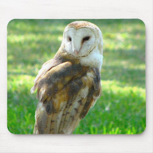 Oh Barn Owl Muismat (Voorkant)