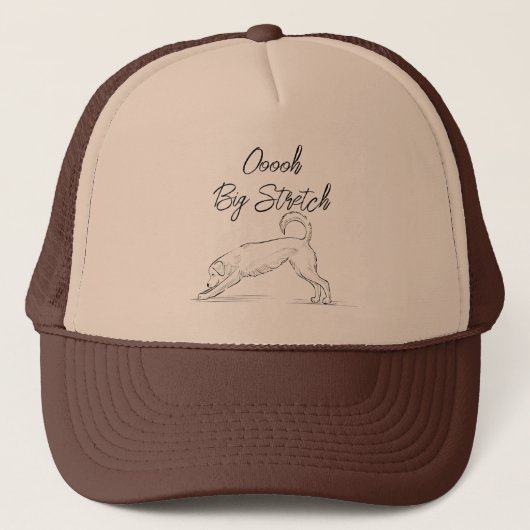 Oh Big Stretch Trucker Hat Pet (Voorkant)