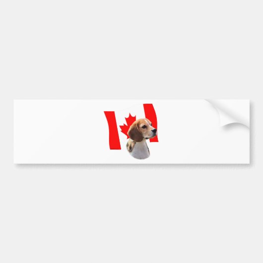 Oh Canada... en Beagles. Bumpersticker (Voorkant)