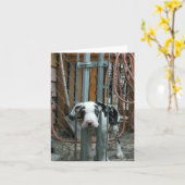 "Oh Cash!" Grote Deense puppy Kaart (Gele Bloem)