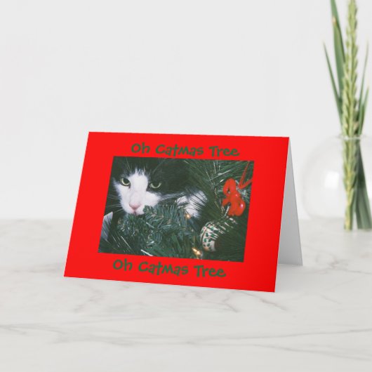 Oh Catmas de Kaart van de boom (Voorkant)