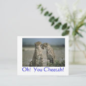 Oh! Cheetah. Briefkaart (Staand voorkant)