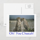 Oh! Cheetah. Briefkaart (Voorkant / Achterkant)