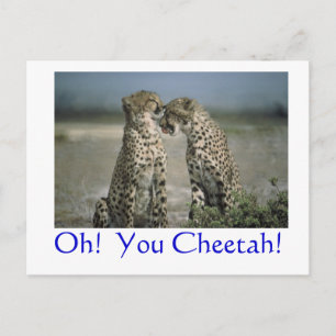 Oh! Cheetah. Briefkaart