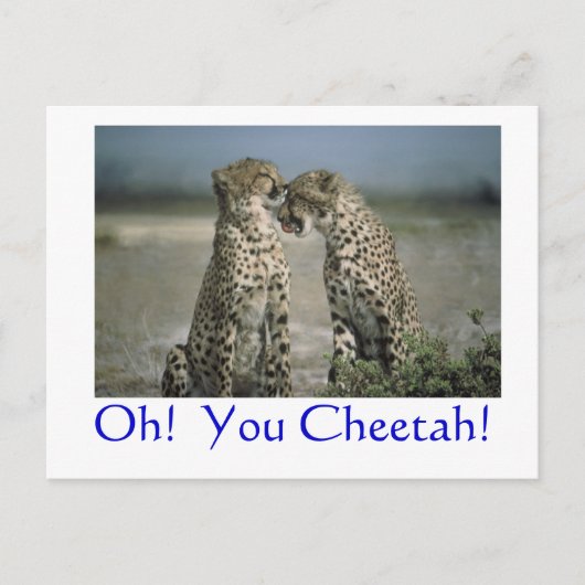 Oh! Cheetah. Briefkaart (Voorkant)