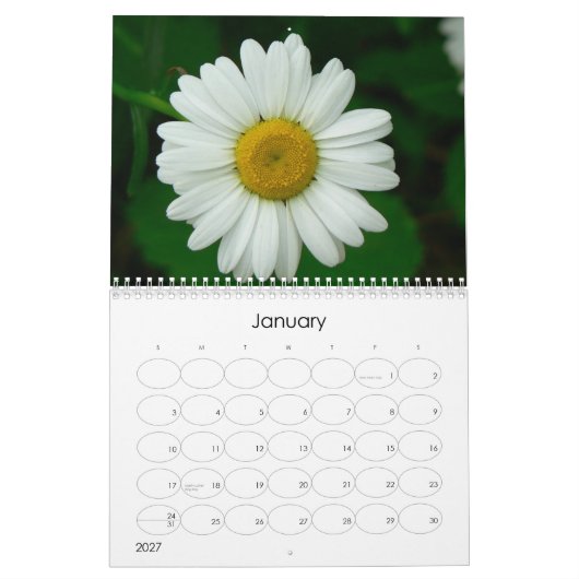 Oh Daisy Wall Agenda Kalender (Jan 2027)