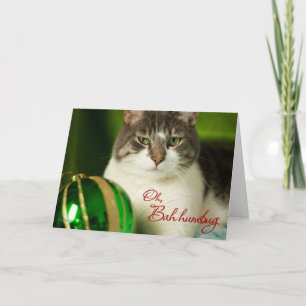 Oh, de Kaart van de Kat van Bah Humbug