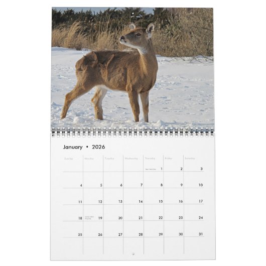 Oh, Deer! 12-month 2026 Calendar Kalender (Jan 2026)
