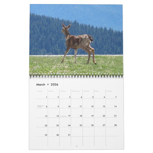 Oh, Deer! 12-month 2026 Calendar Kalender (Mar 2026)