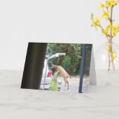 Oh Deer! Kaart (Gele Bloem)