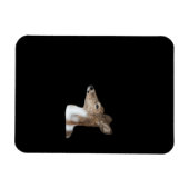 Oh Deer Minimal Modern Ontwerp Magneet (Horizontaal)