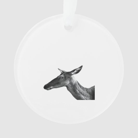 Oh Deer Modern Aesthetic Vibe Acrylic Ornament (voorkant)