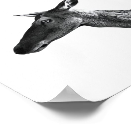 Oh Deer Modern Aesthetic Vibe Poster (Hoek)