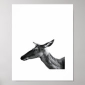 Oh Deer Modern Aesthetic Vibe Poster (Voorkant)
