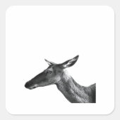 Oh Deer Modern Aesthetic Vibe  Vierkante Sticker (Voorkant)