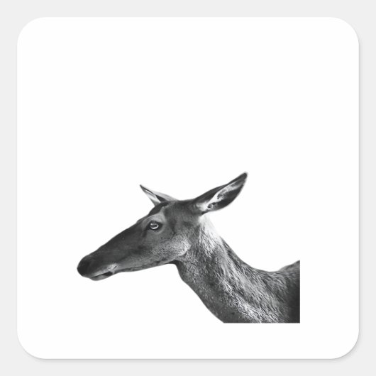 Oh Deer Modern Aesthetic Vibe  Vierkante Sticker (Voorkant)