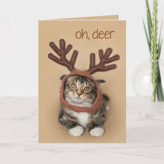 Oh Deer Reindeer Kitten Feestdagen Kaart (Voorkant)
