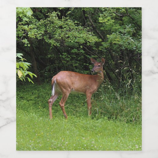 Oh Deer! Wijn Etiket (Enkel label)