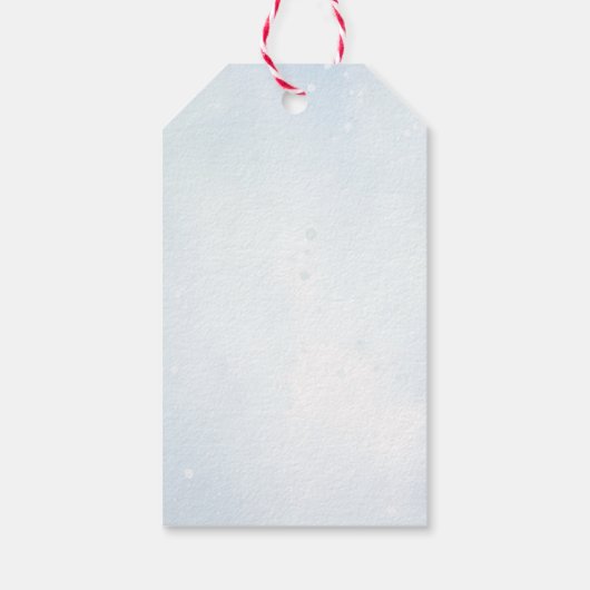 Oh Deer Winter Boy Baby shower Cadeaulabel (Achterkant)