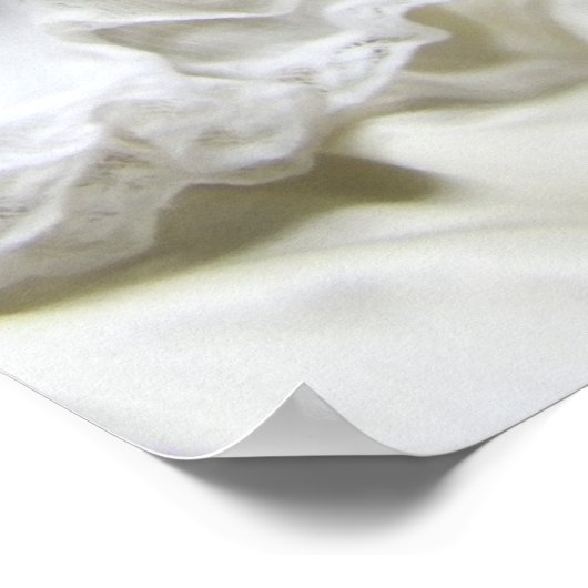 Oh Dolly Poster (Hoek)