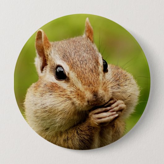 Oh dus Cheeky Chipmunk Round Button (Voorkant)