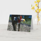 Oh-geen M. Bill Kaart (Gele Bloem)