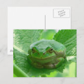 Oh gelukkige dag - groene kikker dicht bij elkaar briefkaart (Voorkant / Achterkant)