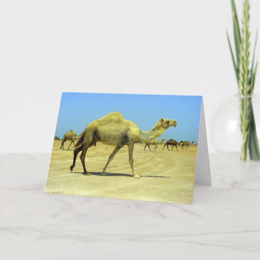 Oh gelukkige dag - kamelen in de woestijn kaart (Voorkant)
