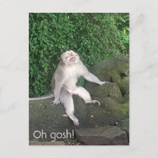 Oh gosh aap briefkaart (Voorkant)