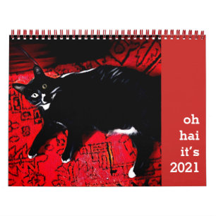 Oh Hai Cat Agenda Kalender