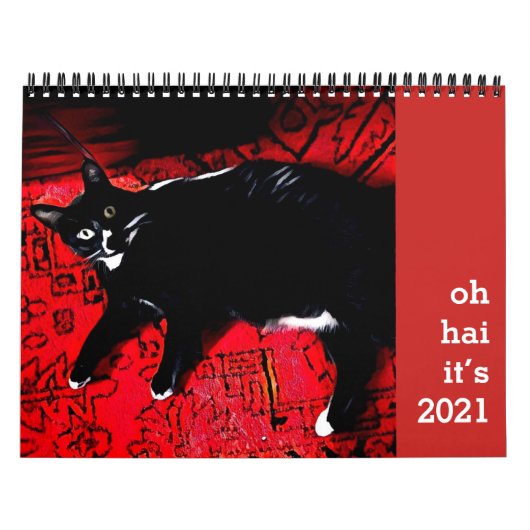 Oh Hai Cat Calendar Kalender (Hoes)