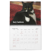 Oh Hai Kalender (Feb 2027)