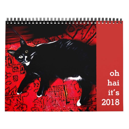 Oh Hai Kalender (Hoes)
