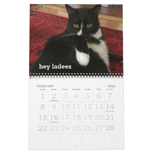 Oh Hai Kalender (Feb 2026)