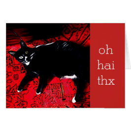 Oh Hai Thx  dank je kaart