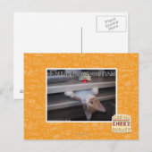 oh hallo bevorderde ik uw RAM Briefkaart (Voorkant / Achterkant)