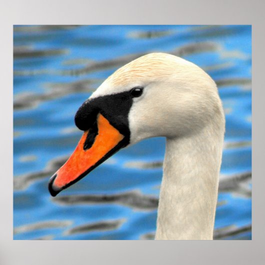 Oh hallo poster (Voorkant)