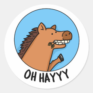 Oh Hayyy Grappig Paard Pun Ronde Sticker