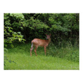 Oh Herten! Perfect Poster (Voorkant)