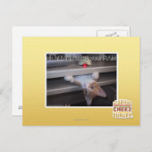 oh hi ik heb je RAM geüpgraded Briefkaart (Voorkant / Achterkant)