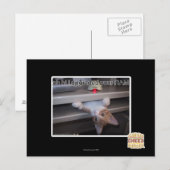 oh hi ik heb je RAM geüpgraded Briefkaart (Voorkant / Achterkant)