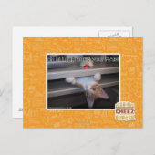 oh hi ik heb je RAM geüpgraded Briefkaart (Voorkant / Achterkant)