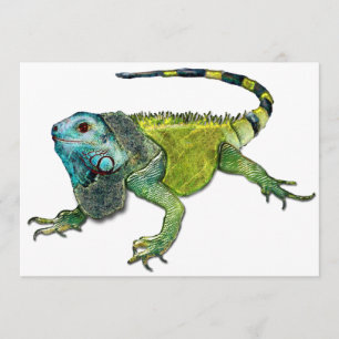 Oh hoe Iguana naar huis gaat Kaart