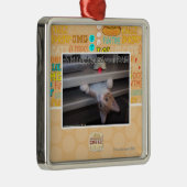 Oh hoe ik uw RAM heb geüpgraded Metalen Ornament (Rechts)