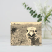 Oh... Hoi! -Briefkaart Briefkaart (Staand voorkant)