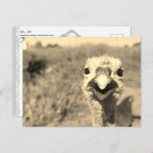 Oh... Hoi! -Briefkaart Briefkaart (Voorkant / Achterkant)