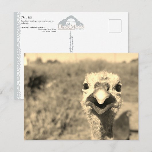 Oh... Hoi! -Briefkaart Briefkaart (Voorkant / Achterkant)