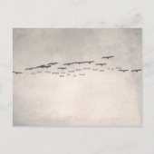 "oh, how they trust" briefkaart (Voorkant)