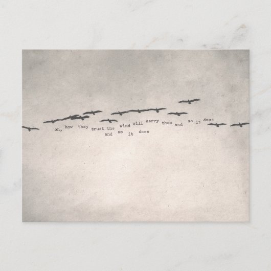 "oh, how they trust" briefkaart (Voorkant)